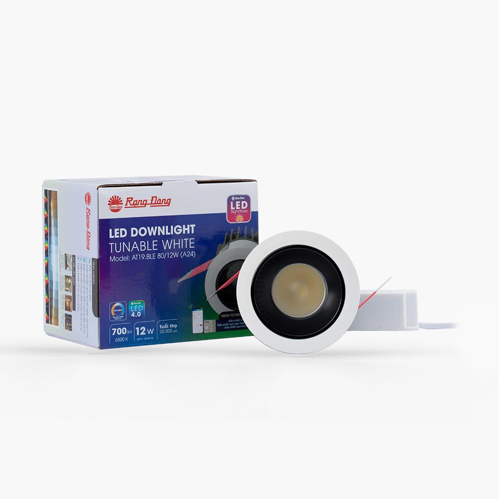 Đèn LED Downlight đổi màu AT19.BLE 80/12W (A24)