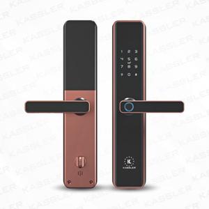 Khóa vân tay Kassler KL-669 Copper ( màu đồng)